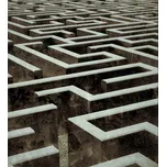 DIMEX MS-3-0279 225 x 250 cm