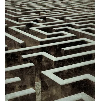 DIMEX MS-3-0187 225 x 250 cm, labyrint