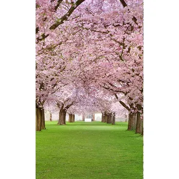 Fototapeta DIMEX MS-2-0105 150 x 250 cm třešňový sad