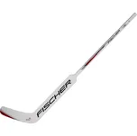 Fischer GW250 JR 2016/17 21"