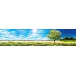 Dimex KI-260-085 260 x 60 cm