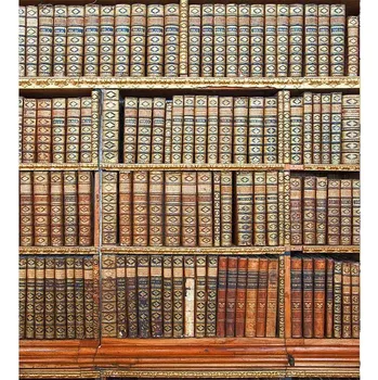 DIMEX MS-3-0187 225 x 250 cm, knihovna