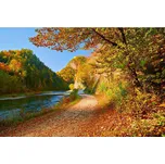 Dimex MS-5-0069 375 x 250 cm