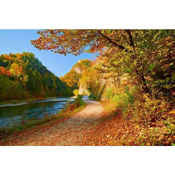 Fototapeta Dimex MS-5-0069 375 x 250 cm