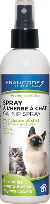 Catnip-Spray - 200 ml