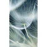 Dimex MS-2-0123 150 x 250 cm