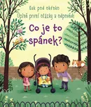 Co je to spánek?: Úplně první otázky a…