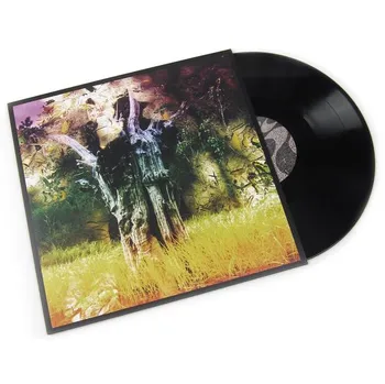 Zahraniční hudba Meeting of the Waters - Animal Collective [LP]