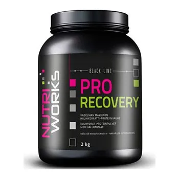 Anabolizér NutriWorks Pro Recovery 2 kg