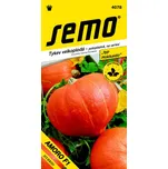 SEMO Tykev Velkoplodá Amoro F1 5 s