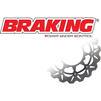 Autodíl Brzdové destičky HONDA GL 1200 GOLD WING 84-87 ZADNÍ (BRAKING )