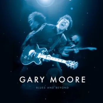 Zahraniční hudba Blues And Beyond - Moore Gary [4 LP]