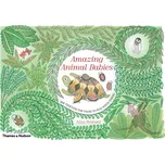 Amazing Animal Babies - Aina Bestard…