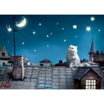 Fototapeta Obrazová vliesová fototapeta kočka na střeše v noci FTNM2606 / Obrazové papírové fototapety na zeď 1 dílné FT0806 AG Design (160 x 110 cm)