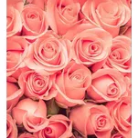 DIMEX MS-3-0133 225 x 250 cm