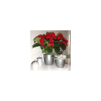 Květináč Kraków květináč AGA 28 cm Stříbrný