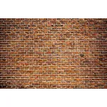 Dimex MS-5-0167 375 x 250 cm