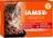 Iams Cat Delights Land & Sea Collection in gravy Multipack, 12 x 85 g