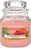 Yankee Candle Sun-Drenched Apricot Rose, 104 g