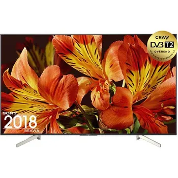 Televizor Sony Bravia 49" LED (KD-49XF8596)