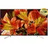 Televizor Sony Bravia 49" LED (KD-49XF8596)