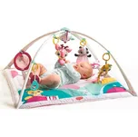 Tiny Love Gymini Tiny Princess Tales