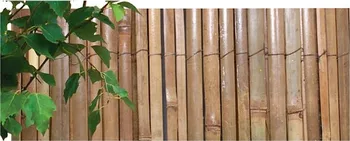 zahradní zástěna Nohel Garden Rohož bambus štípaný lakovaný 2 x 3 m