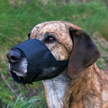 Náhubek pro psa Náhubek nylonový se síťkou, polyester, černý XS - S, 15-20 cm
