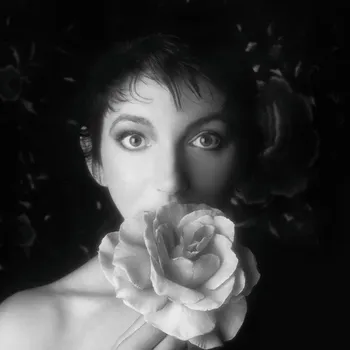 Hudba Vinyl Box 2 - Kate Bush [3LP]