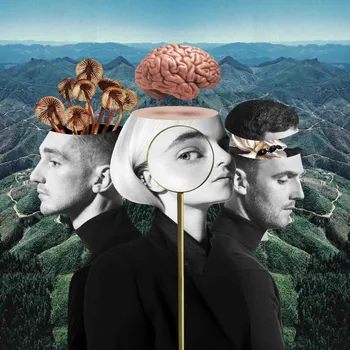 Zahraniční hudba What Is Love - Clean Bandit [LP]