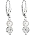 Evolution Group 31244.1