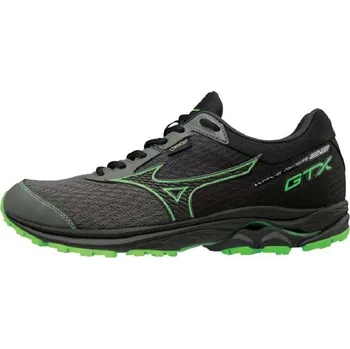Pánská běžecká obuv Mizuno Wave Rider 22 GTX J1GC187905