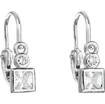 Evolution Group 11172.1