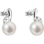 Evolution Group 21029.1