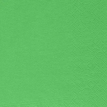 Papírový ubrousek Ubrousky 2-vrstvé, 33 x 33 cm světle zelené (50 ks)