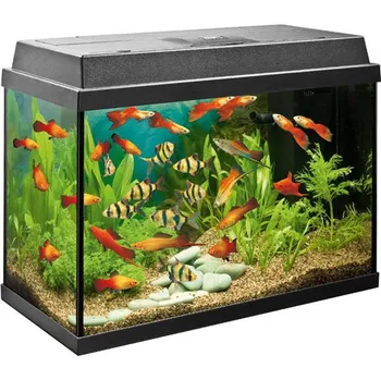 Akvárium Juwel Rekord 600 - 63 l černé