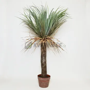 umělá květina Umělá Yucca divoká 150cm + doprava zdarma