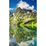 Dimex MS-2-0062 150 x 250 cm