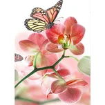 Dimex MS-2-0146 150 x 250 cm