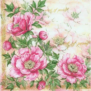 Papírový ubrousek Papírové ubrousky 1062 33/3/20, Stil