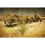 Dimex MS-5-0058 375 x 250 cm