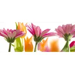 Dimex MP-2-0142 375 x 150 cm