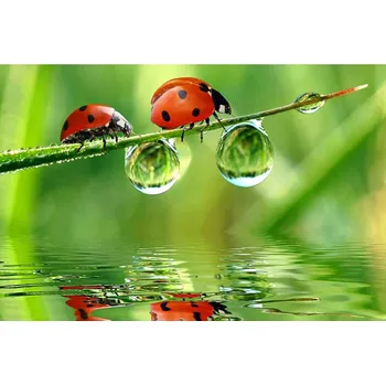 Fototapeta Dimex MS-5-0226 375 x 250 cm