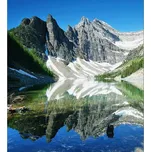 DIMEX MS-3-0074 225 x 250 cm