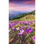 Dimex MS-2-0064 150 x 250 cm