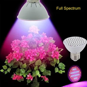 Žárovka LED ŽÁROVKA NA RŮST KVĚTIN 10W 106 LEDs Full Spectrum (FULL SPECTRUM. Tato stimulující žárovka vyzařující barevné světlo (kombinací červených a modrých světýlek) vytváří vhodné světelné podmínky pro rostliny a stimuluje jejich růst. Je energeticky úsporná