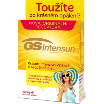 GS Intensun