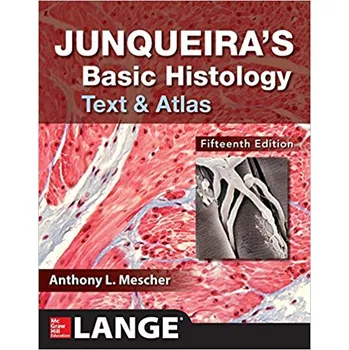 Junqueira´s Basic Histology: Text and Atlas - Anthony L. Mescher [EN] (2018, brožovaná, 15th Edition)