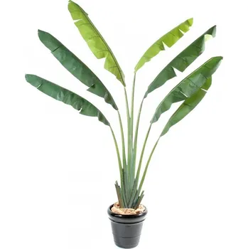 umělá květina Luxusní umělá palma Traveler´s Tree Ravenala, 250cm