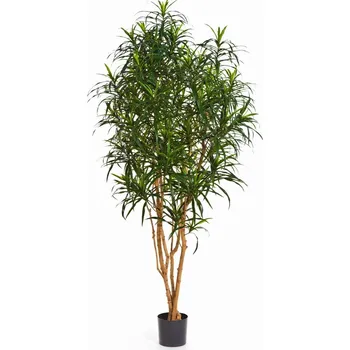umělá květina Luxusní umělá palma DRACAENA ANITA STROM, 180 cm